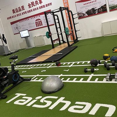 19 mm Wysokość stosów UV odporna sztuczna trawa do boisk sportowych z instalacją bez napełniania