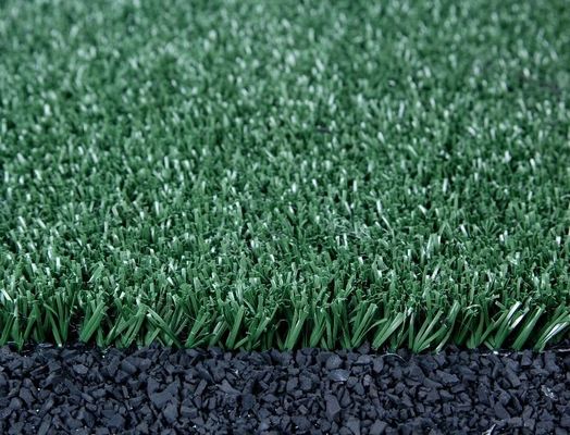 Trawa piłkarska z PP o wysokości runa 15 mm, gęstości 12000 Dtex i powłoce PU do zewnętrznych boisk sportowych