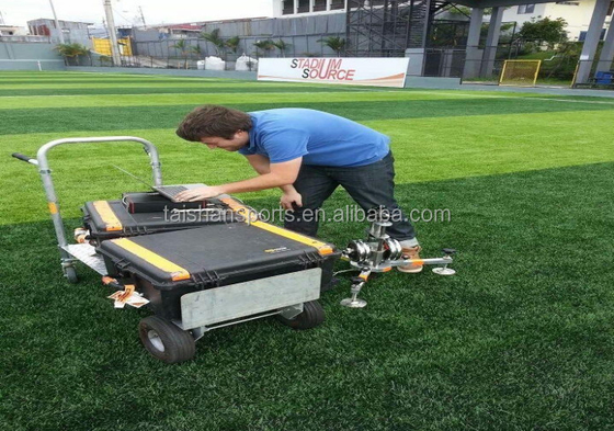 60 mm Sztuczna trawa do uprawiania sportów dla zwierząt domowych
