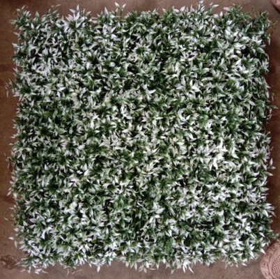 Sztuczna trawa ścienna do podnoszenia estetyki Twojego budynku o rozmiarze 50cm * 50cm Idealne rozwiązanie zewnętrzne