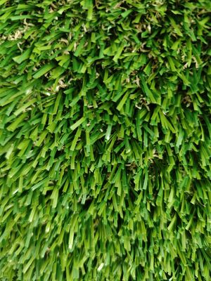 Niewypełniona zielona sztuczna trawa Przezroczysty lateks 30mm Materiał PE&PP Niewiele piasku Potrzebne Otwory drenażowe