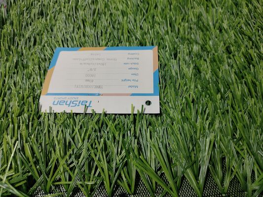 Wysokiej gęstości sztuczna trawa piłkarska o wysokim Dtex z wysoką przepuszczalnością dla profesjonalnych i amatorskich boisk dla hurtowników i dystrybutorów