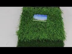 Piłka nożna Sztuczna trawa