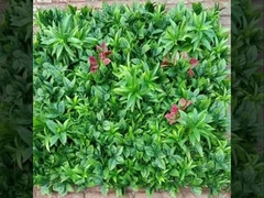 2025 Nowy dostawca trawy ściennej Taishan