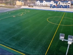 Certyfikowana przez FIFA murawa piłkarska
